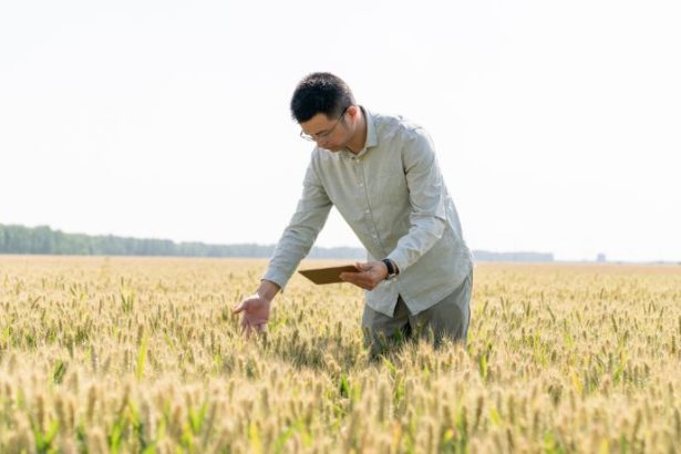 Carlos Eduardo Moraes Nunes