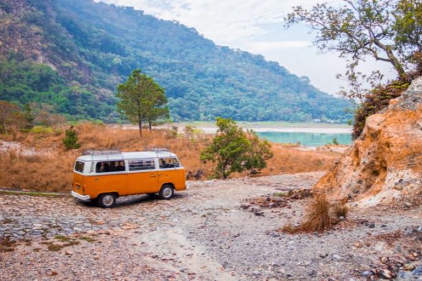 Bruno Rodrigues Quintas